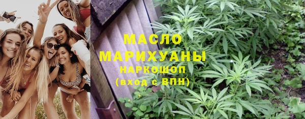 тгк Пересвет