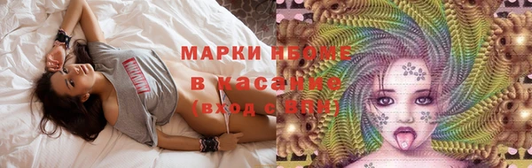 тгк Пересвет