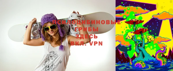 тгк Пересвет